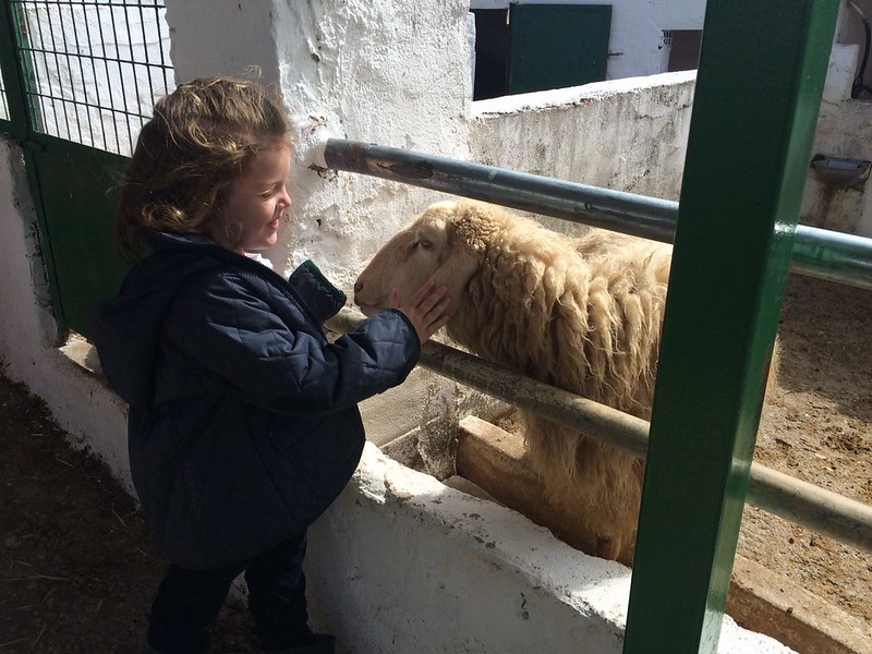 Excursión de Infantil a la Granja Escuela (Orvalle 18)