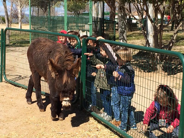 Infantil visita la Granja Escuela (Orvalle - 2019)