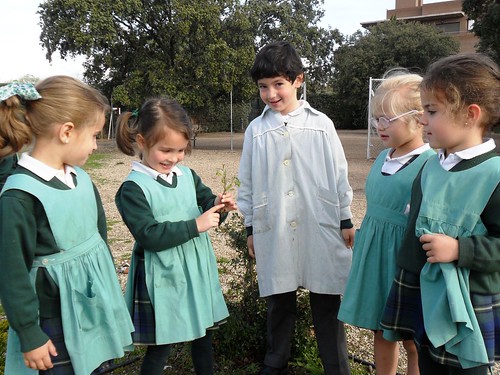 Colegio Orvalle_2