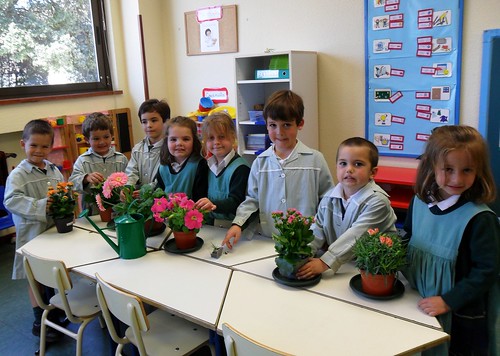 Colegio Orvalle_6