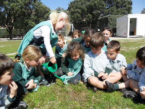 Colegio Orvalle_4