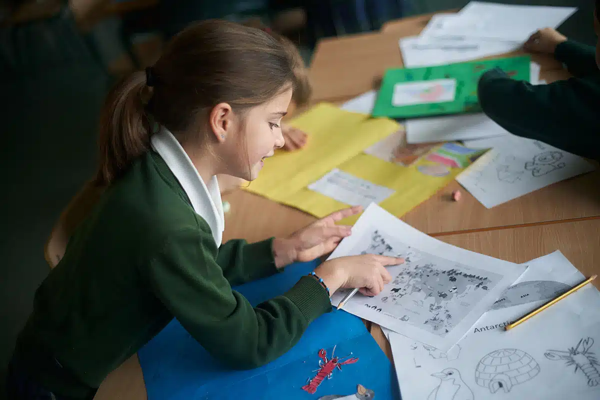 estudiar en primaria