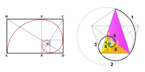 La proporción áurea, el número de oro