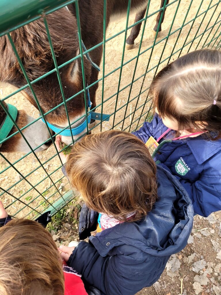 Infantil visita la Granja Escuela