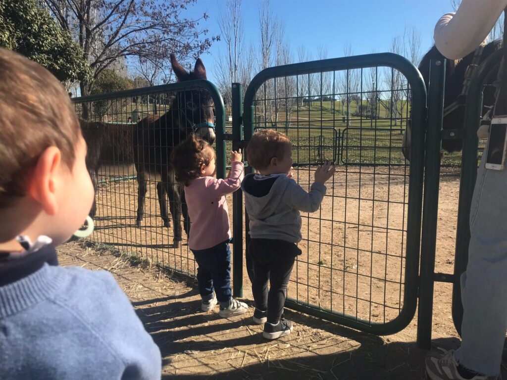 Infantil visita la Granja Escuela