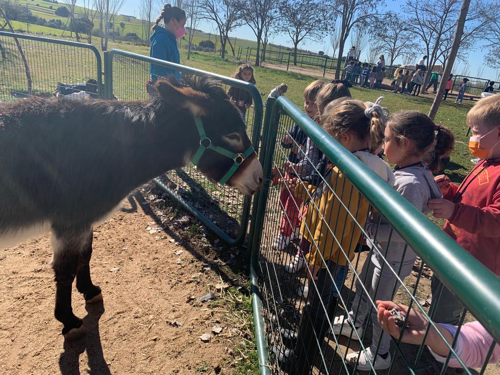 Infantil visita la Granja Escuela