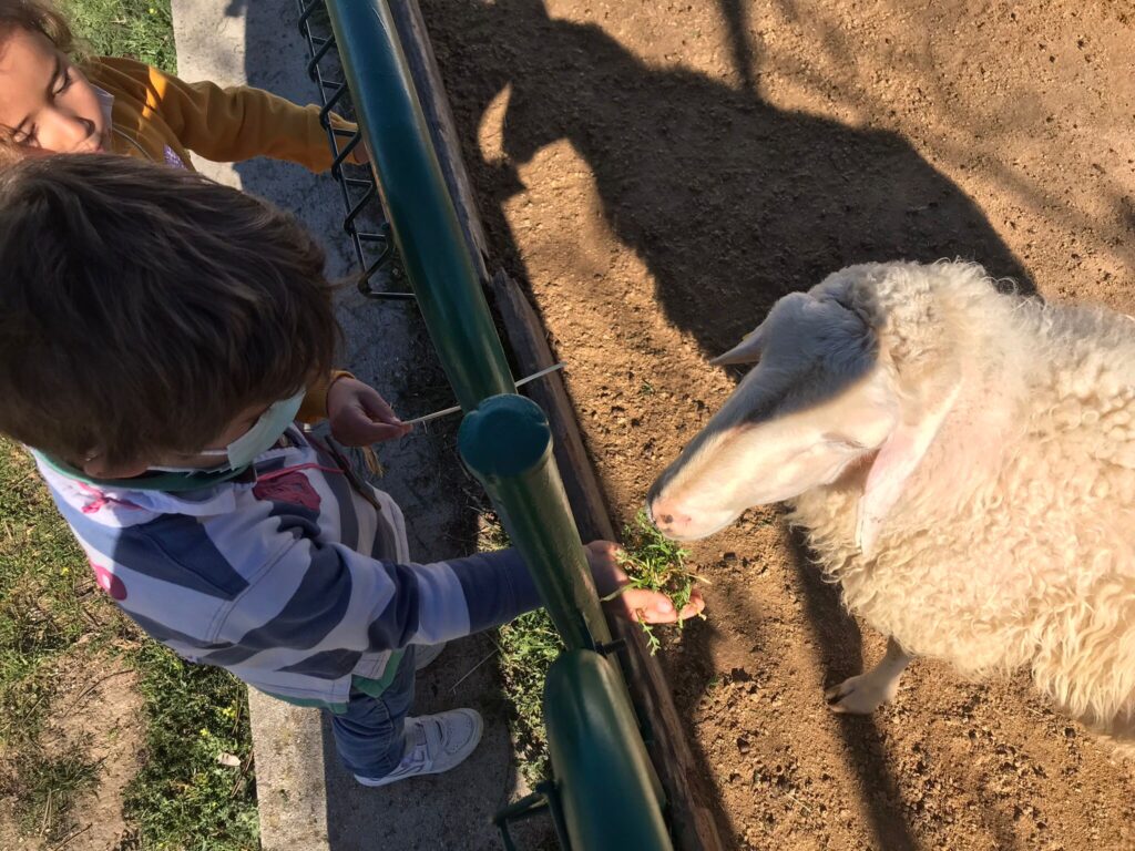 Infantil visita la Granja Escuela