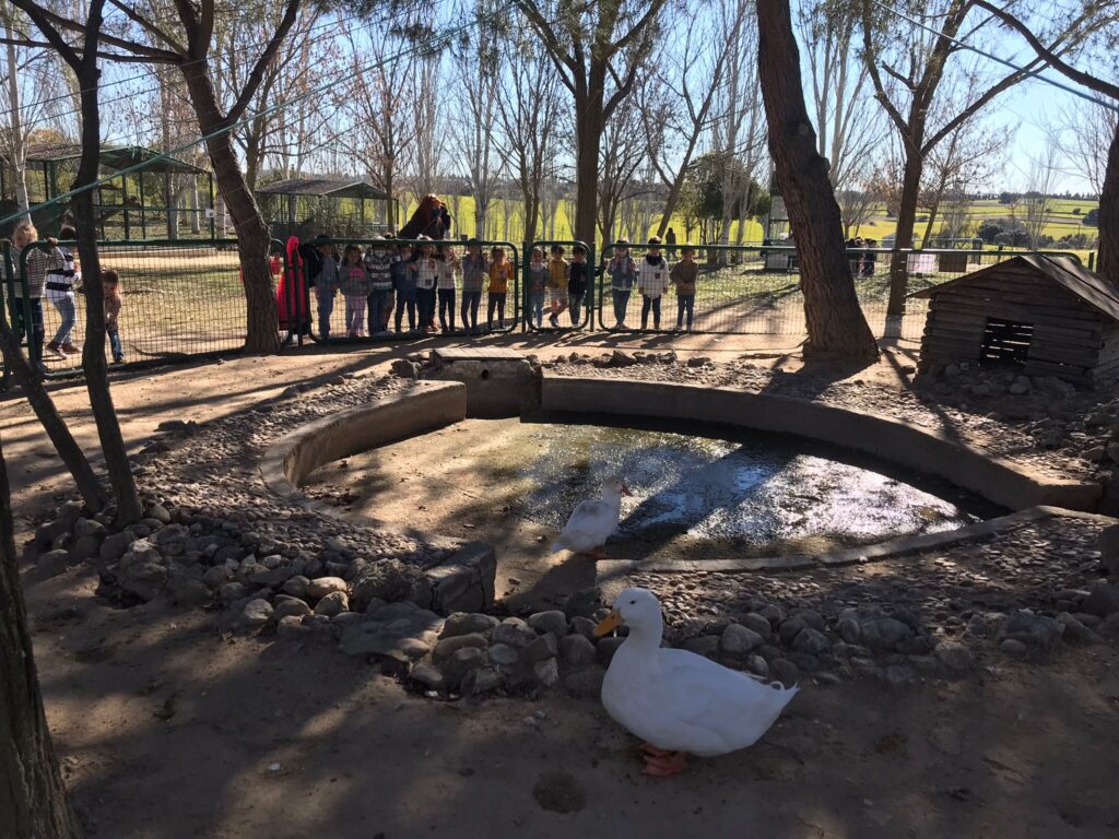 Infantil visita la Granja Escuela