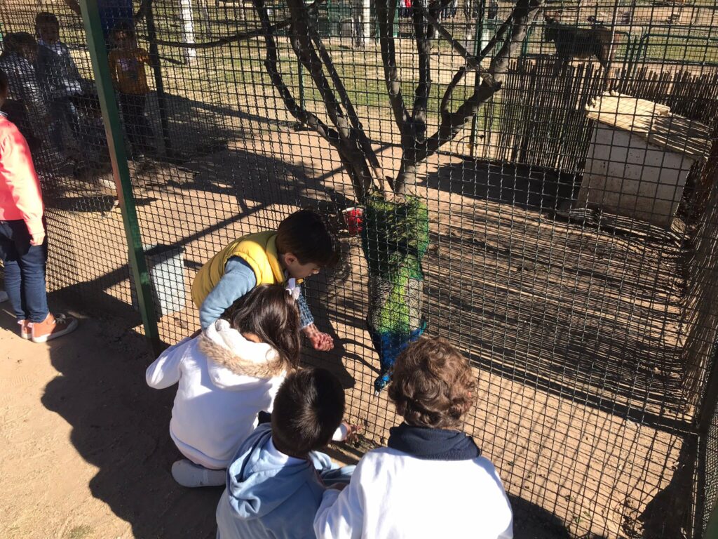 Infantil visita la Granja Escuela