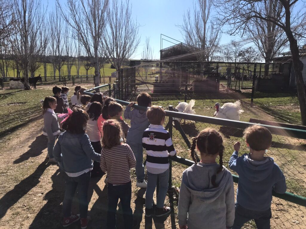 Infantil visita la Granja Escuela