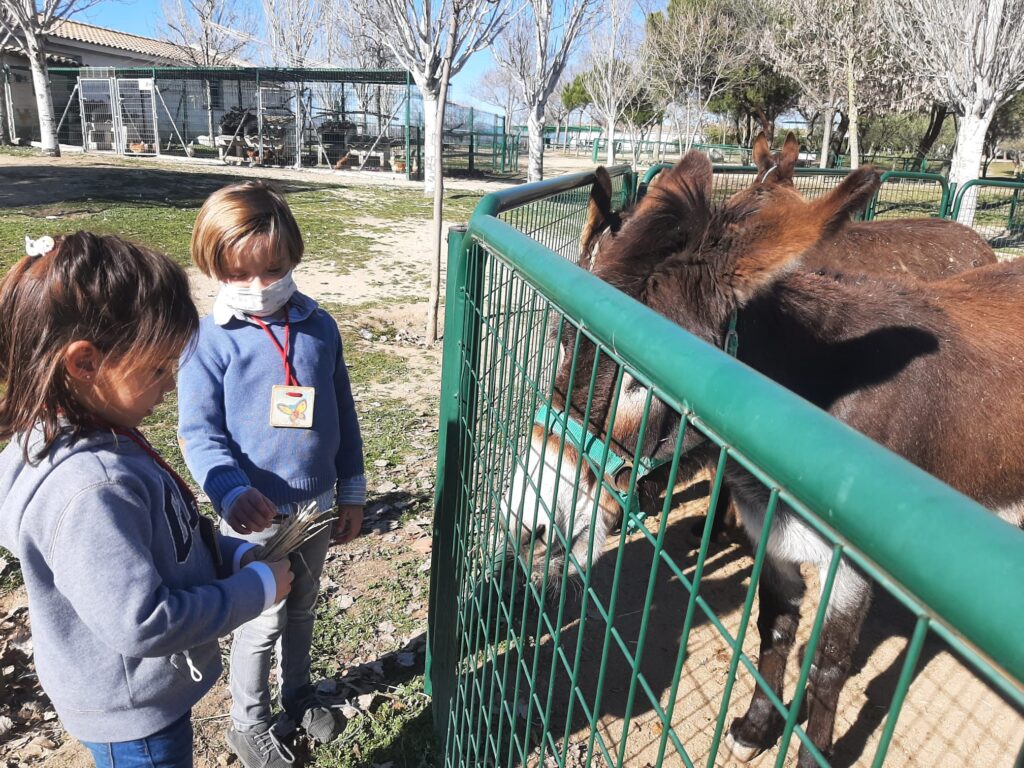 Infantil visita la Granja Escuela