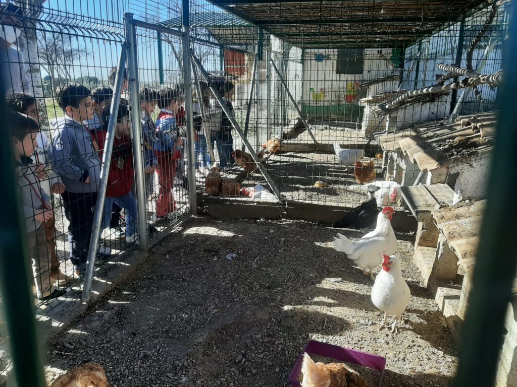 Infantil visita la Granja Escuela