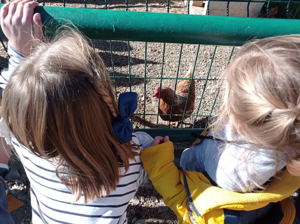 Infantil visita la Granja Escuela