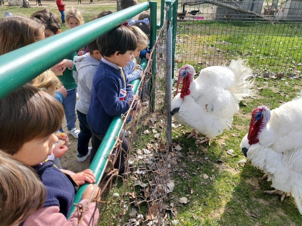 Infantil visita la Granja Escuela