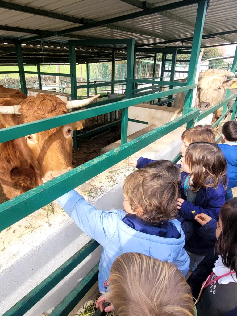 Infantil visita la Granja Escuela