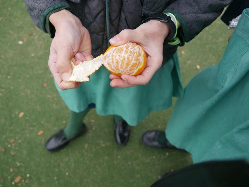 Hábitos de alimentación saludables: en Orvalle apostamos por la salud más allá del comedor