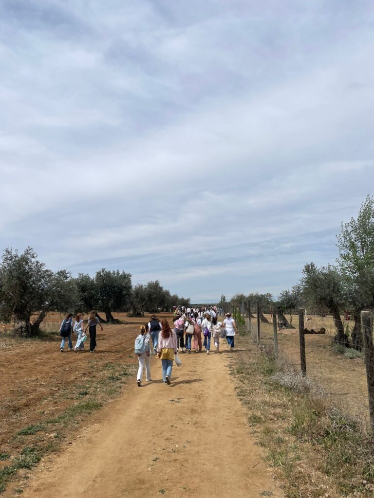 Convivencia de 6º de Primaria en Layos