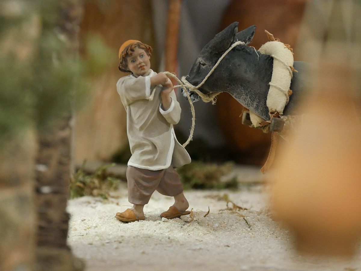 navidad niño borrico