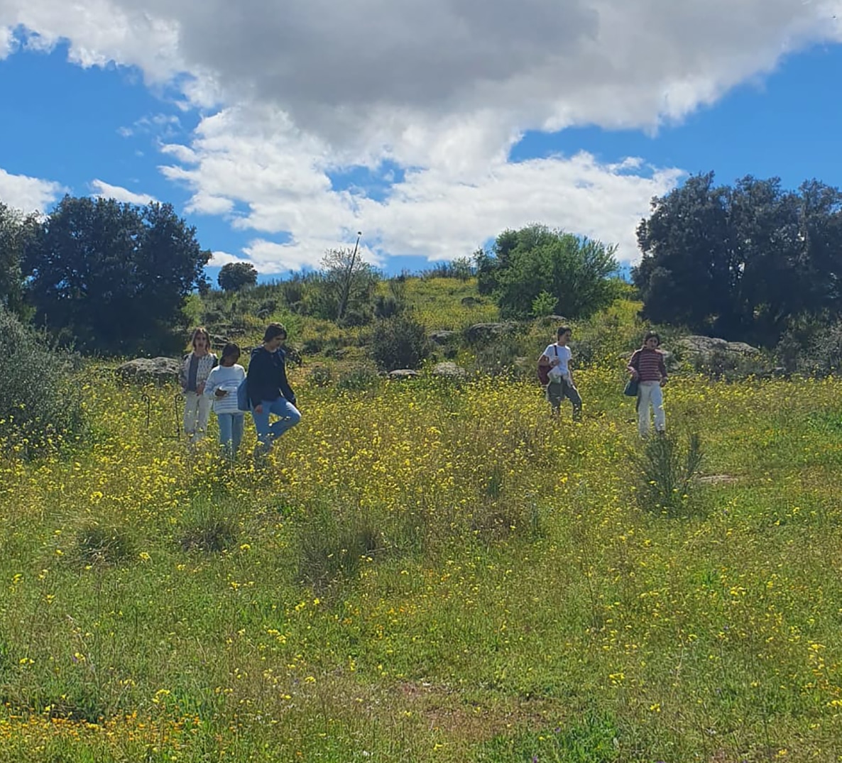 convivencia escolar orvalle