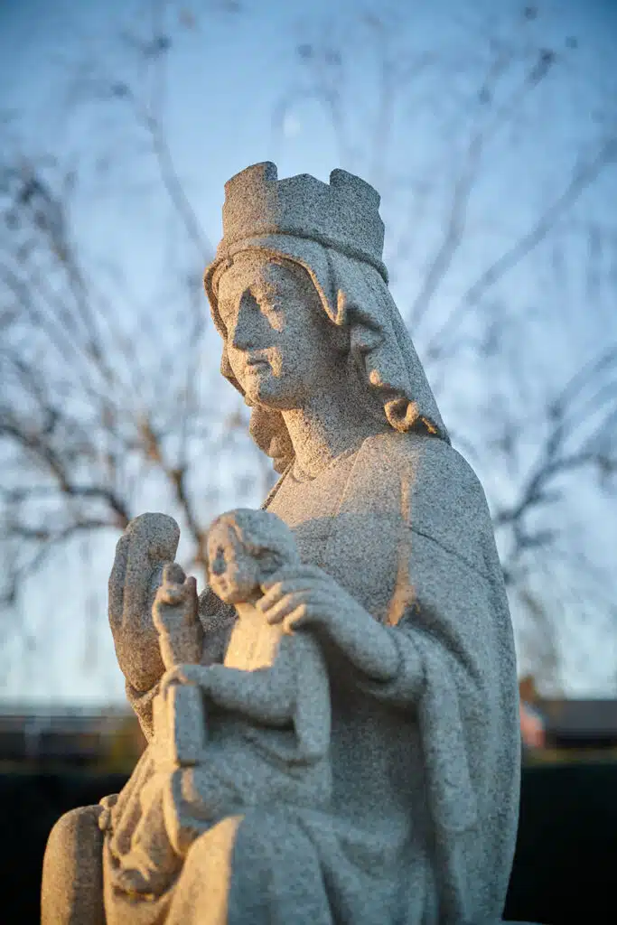 colegio orvalle virgen del jardin