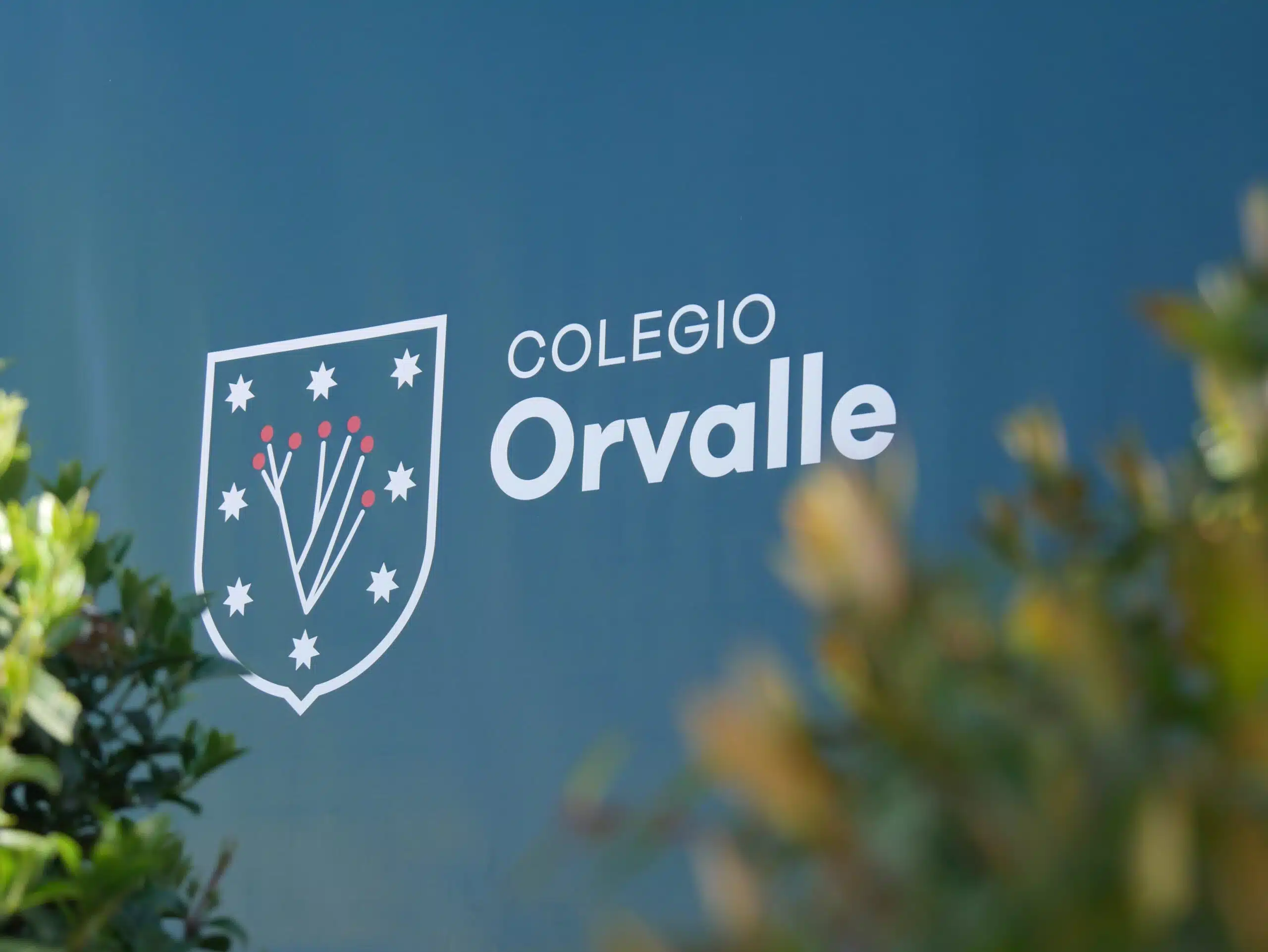 colegio orvalle ib internacional