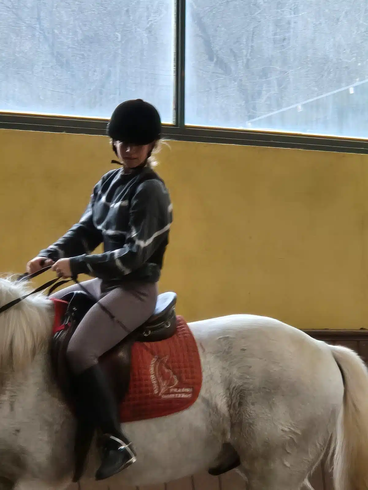 2 alumnas de Orvalle, entre los 25 mejores expedientes de la Comunidad de Madrid 6 2 alumnas de Orvalle, entre los 25 mejores expedientes de la Comunidad de Madrid