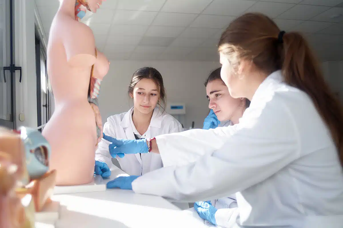 ¿Qué es el Bachillerato Internacional (IB)? Una guía completa 4 que es el bachillerato internacional