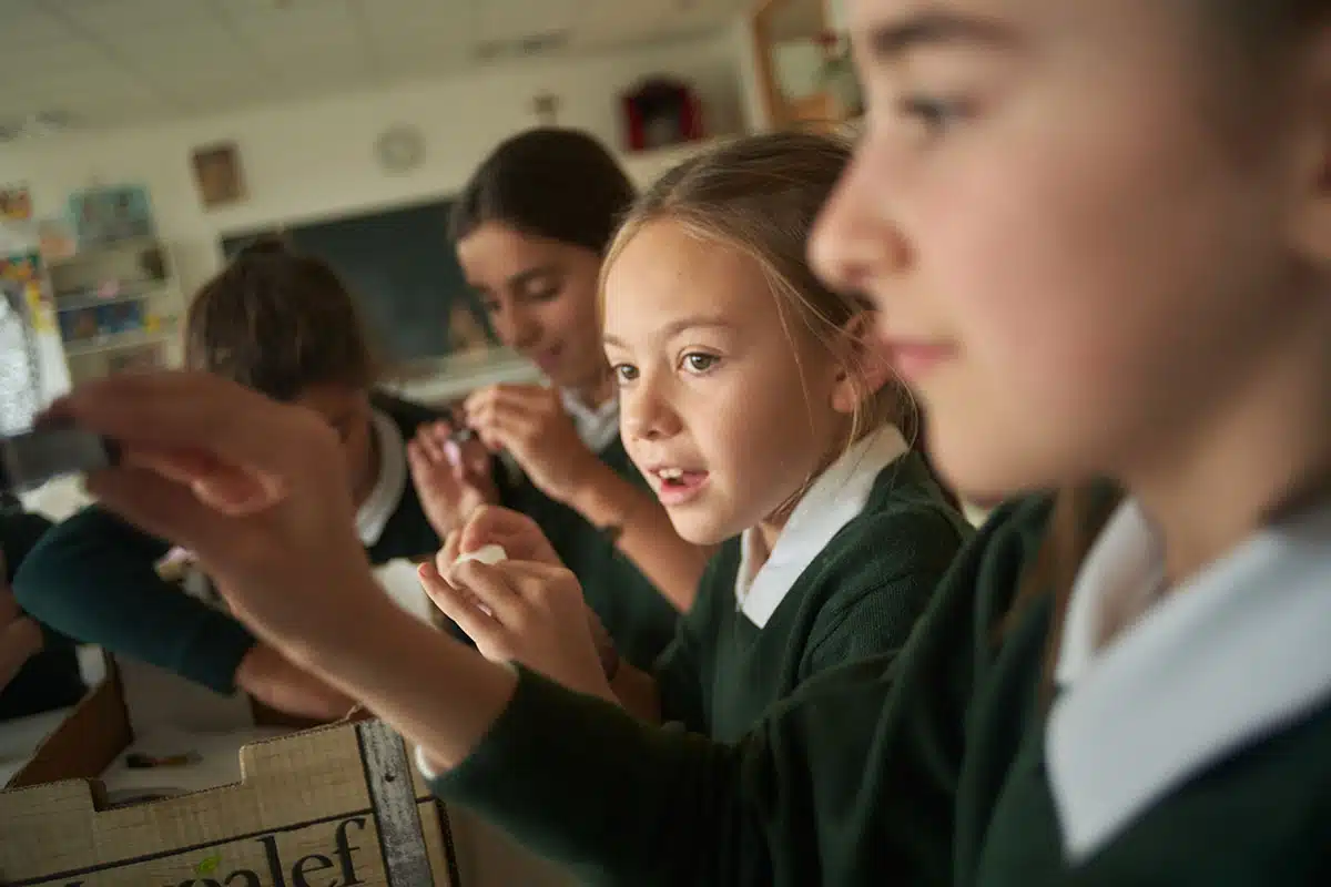 Amistad en la preadolescencia: el papel de la familia 6 amistad preadolescencia