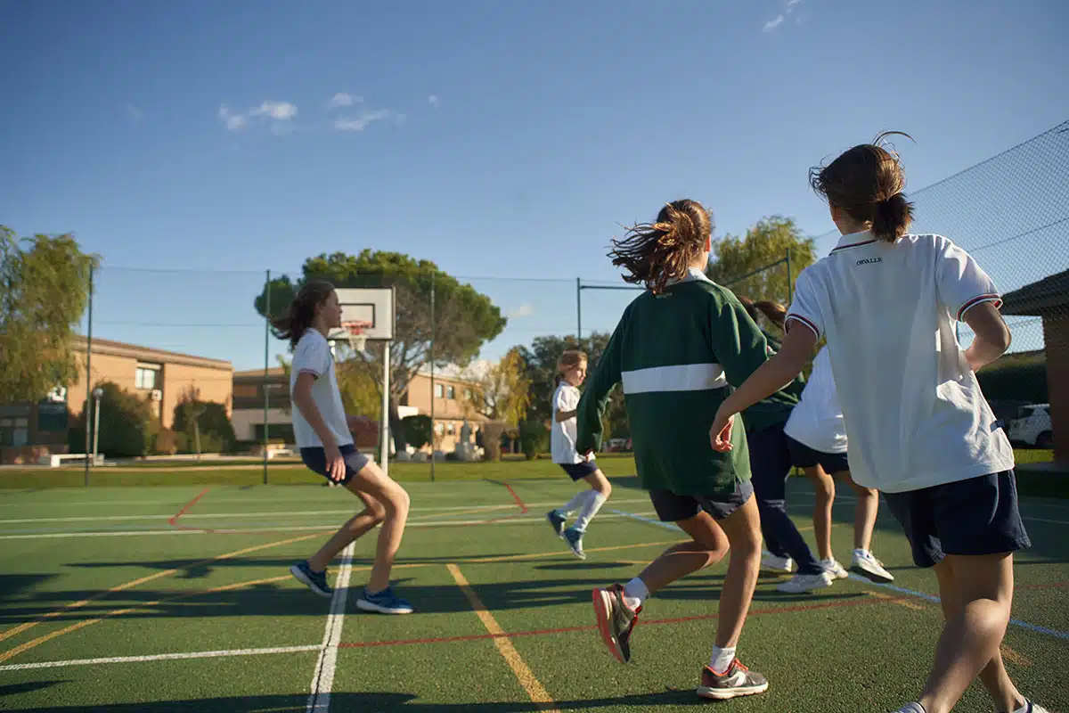 Deporte Escolar en Madrid: El éxito de la Liga Interna de Orvalle 4 deporte escolar madrid