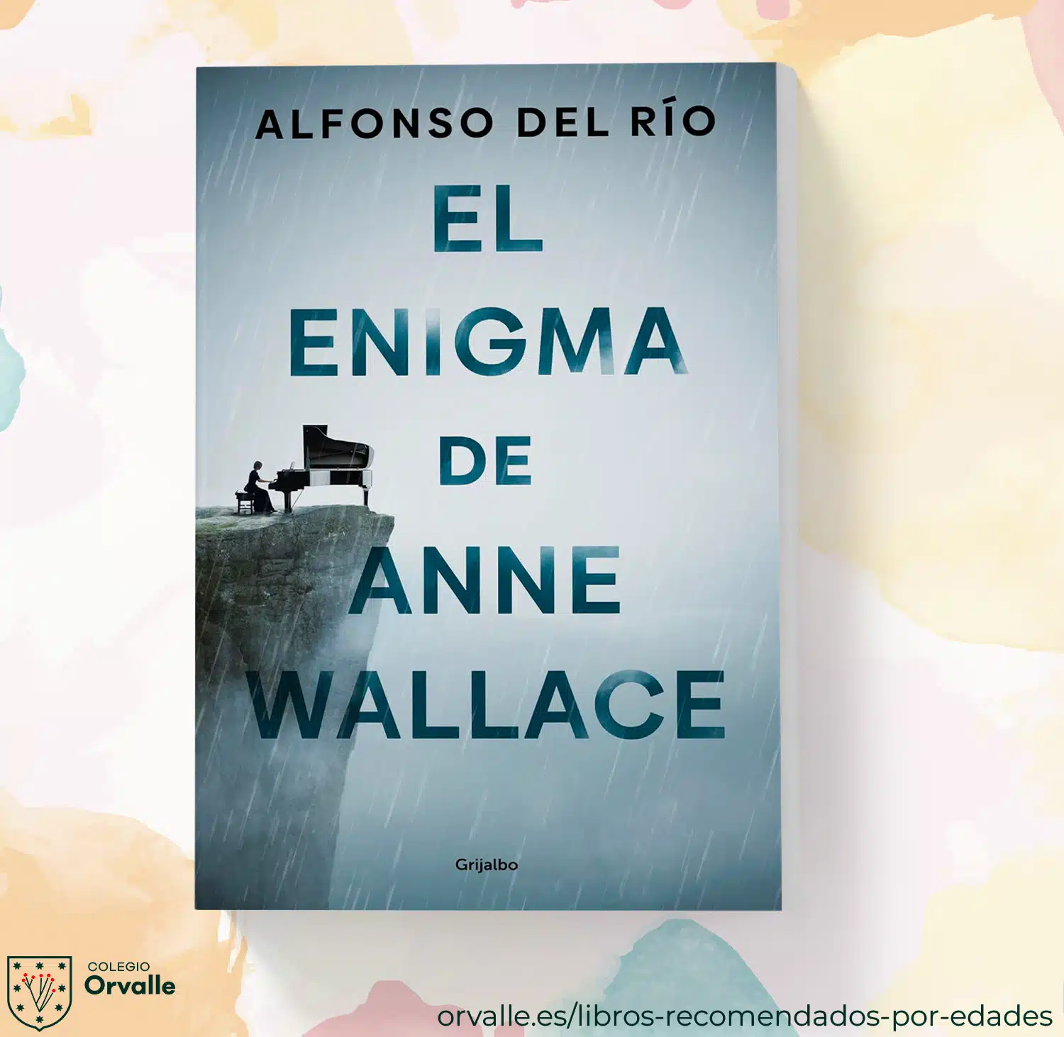 enigma anne wallace